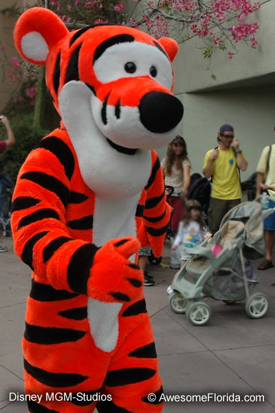 Animation Courtyard with Tigger