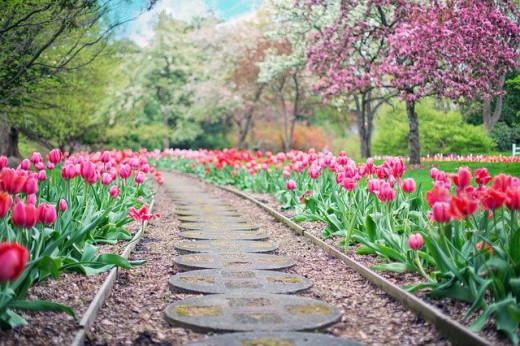 The bright colors of the spring.