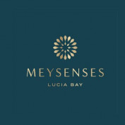 meysenseslucia profile image