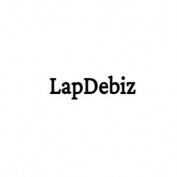 lapdebiz profile image