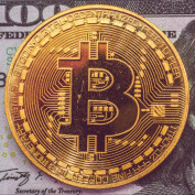 CryptoNews24 profile image