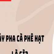 may-pha-ca-phe-hat profile image