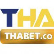 thabetco2022 profile image