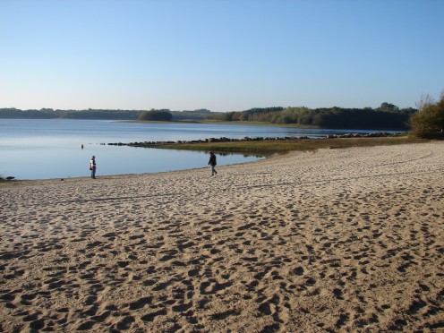 Beach at the lake