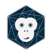 TechmonkeySolution profile image