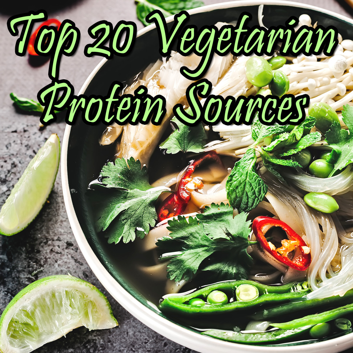 Top 20 Vegetarian Friendly, Plant Based Sources of Protein