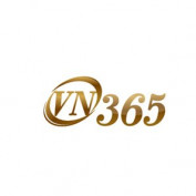 vn365biz profile image