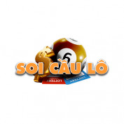 soicaulo90 profile image