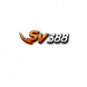 sv33888 profile image