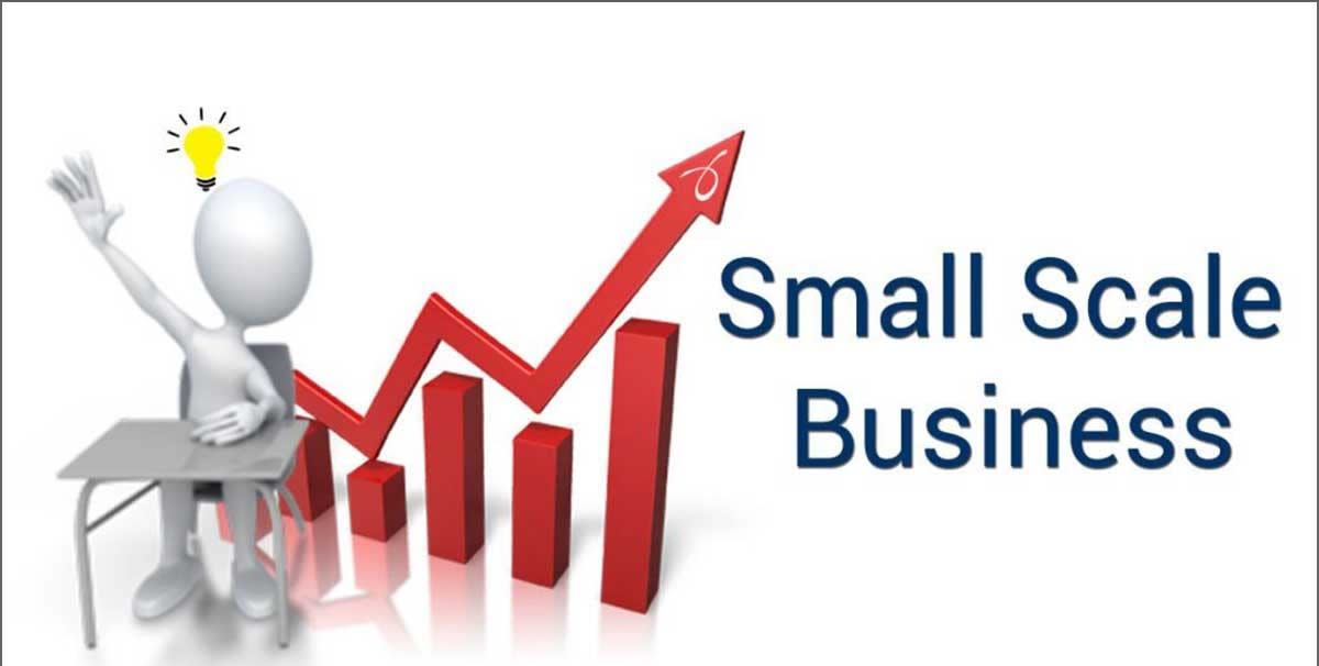 5 Reasons Which Makes Small Scale Businesses Fail to Make Profits and Some Business Tips Which Can Boost Your Business