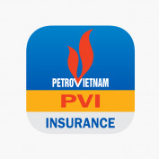 PVI Insurance profile image