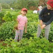 alatberkebun1 profile image