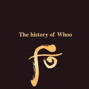 whoovietnam profile image