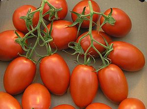 Ripe Roma Tomatoes