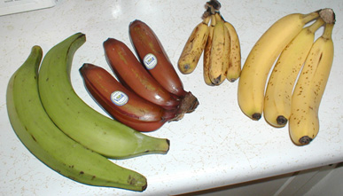 Plantains, Red Banana, Dwarf Banana, Desert Banana