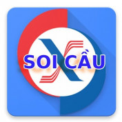 caothusoicaubiz profile image