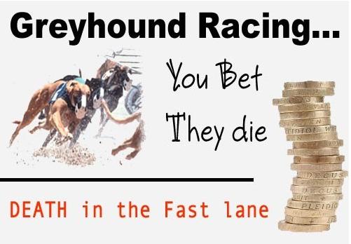 Many people informed about the cruelty of this racing resulted to declined in attendance and betting, forces operators to look for better alternatives and Philippines is their next target.