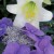 A CONFORMATION & TESTAMENT FOR OUR LORD! A CONFORMATION & TESTAMENT FOR OUR LORD!