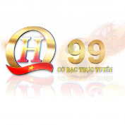 qh99vnpw profile image