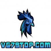 VG79TOP profile image