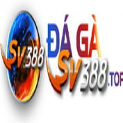 dagasv388top profile image