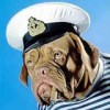 dthardy profile image