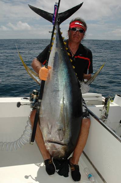Tuna, caught with yo-zuri popper lure.