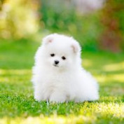 chloej00023 profile image