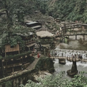 dothanh profile image