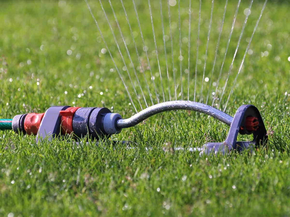 How to Save Money on Watering Lawn