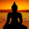 Patel Vatsal profile image