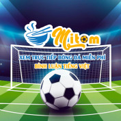 mitomcomtv profile image