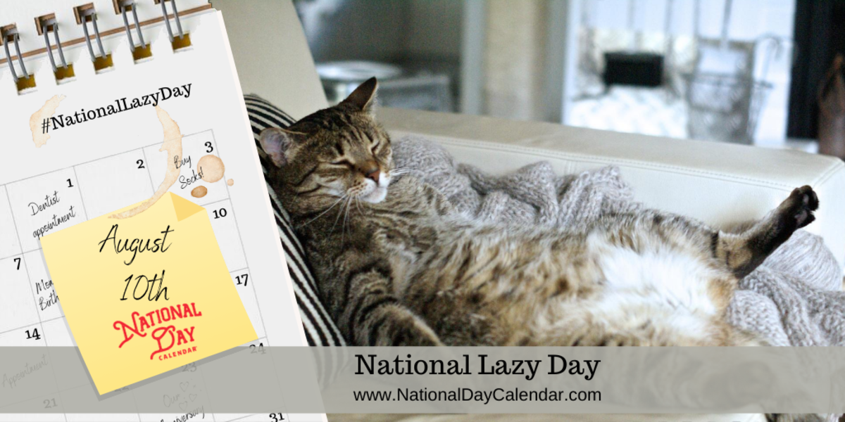 Enjoy Your Lazy Moment — Not Only For Lazy Days!