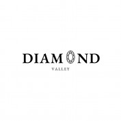 diamondvalleyy profile image
