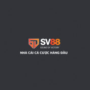 SV88 profile image