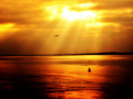 Beautiful Sunset Beach Vacations-Yellow Sunset Photos, Yellow Flowers and a Yellow Boat