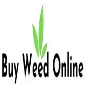 buyweedonlineee profile image