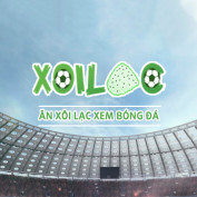 xoilactvznet profile image