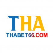 thabet66 profile image