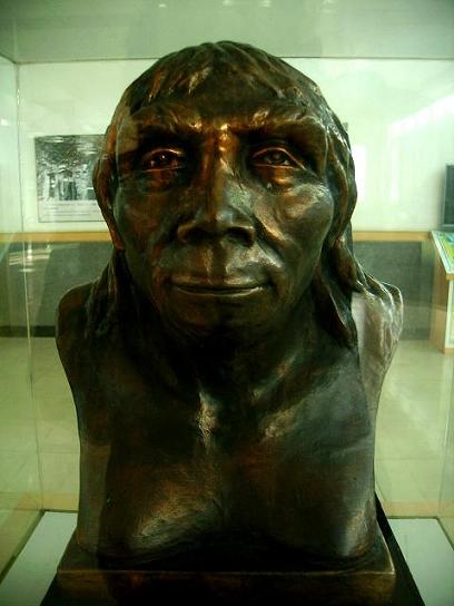 The Peking Man:   Photo by Mutt, Wikipedea  