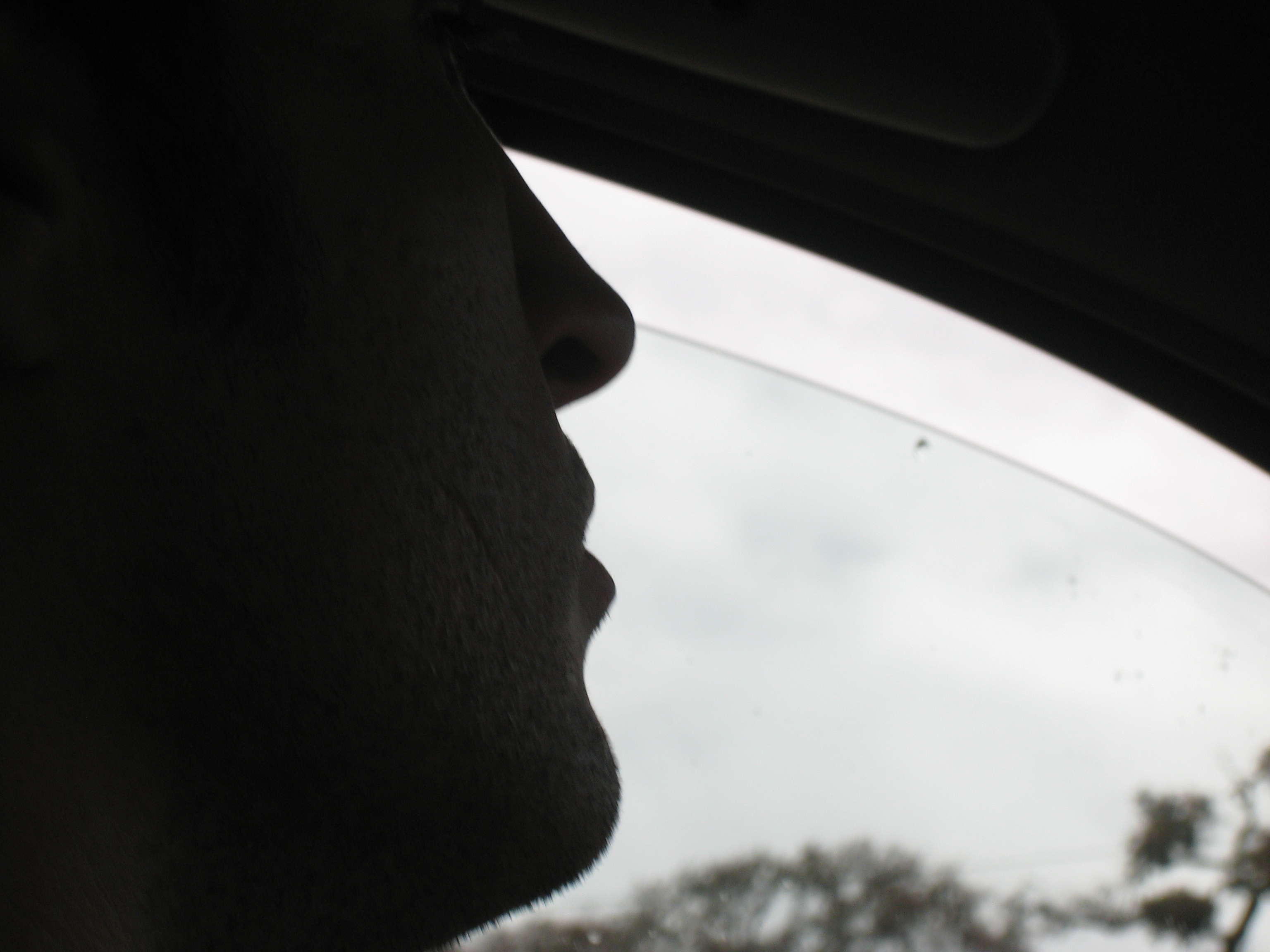 HubPages profile picture for @bipolar