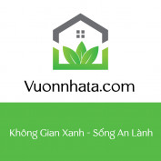 vuonnhata profile image