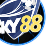 sky88uk profile image