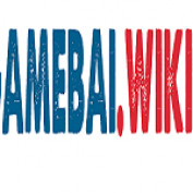 gamebaiwiki profile image