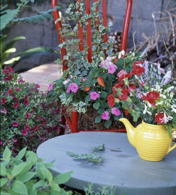 Gardening Tips-My Funky Flower Pots Bring Style to My Garden