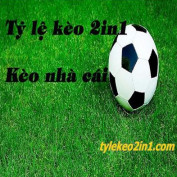 tylekeo2in1 profile image