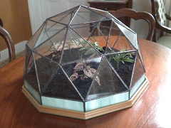 Geodesic dome terrarium in "tiffany Style" stained glass construction.