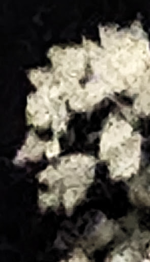 HubPages profile picture for @hilfe