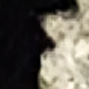 hilfe profile image