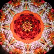 kaleidoscope profile image